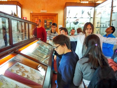 El colegio Estela en la exposición del I.L Mendoza 2