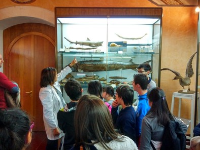 El colegio Estela en la exposición del I.L Mendoza 3