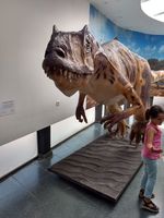 Museo Dinosaurios 