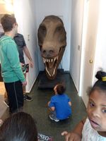 Museo dinosaurios