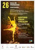 26ª Gala de primavera Down Burgos