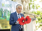 Lectura del Maravilloso Mago de Oz.