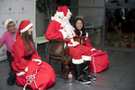 Fiesta de Navidad 2024