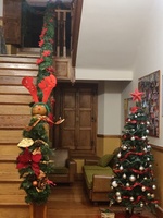 Down Burgos decorada por Navidad