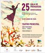 25 Gala de Primavera de Danza