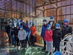 El colegio especial “ Estela” de Down Burgos reanuda el programa de actividades en la ciudad.