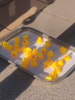 Patitos 