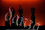 gala danza 3