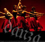 gala danza 3